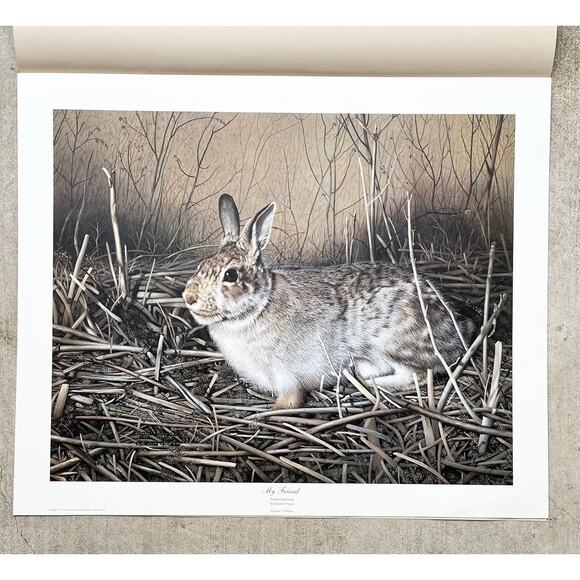 1983 Charles Fracé “My Friend, Rabbit” Signed Lithograph Print 23”X19” - Picture 6 of 9